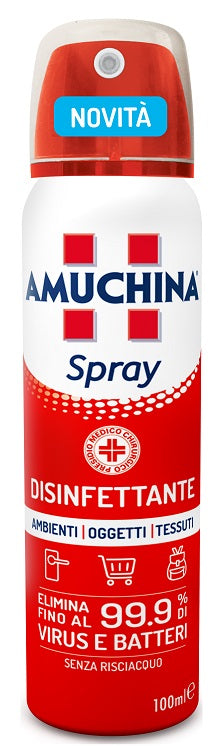 Amuchina spray amb/ogg/te100ml