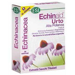 Echinaid Urto (30 Cps)